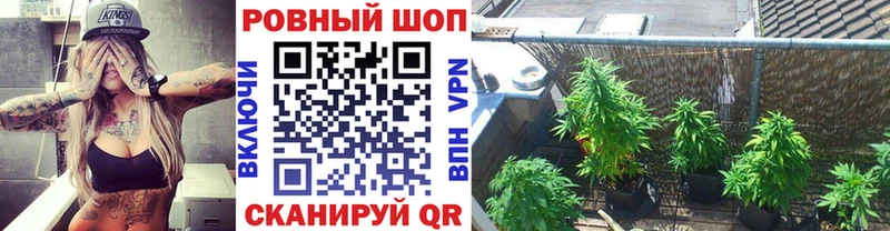 Где купить наркотики Новый Оскол МАРИХУАНА  ссылка на мегу ССЫЛКА  Alpha PVP  Псилоцибиновые грибы  ГАШИШ  МЕФ  КОКАИН 