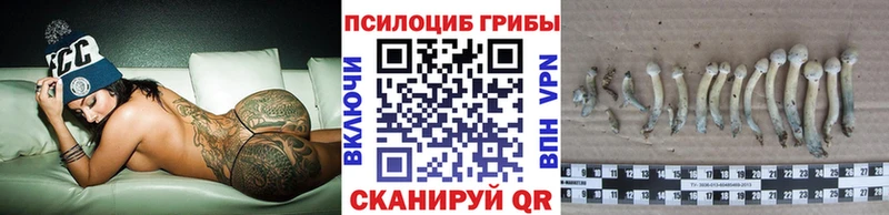 Галлюциногенные грибы Psilocybine cubensis Новый Оскол