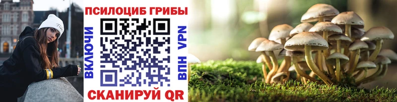 Галлюциногенные грибы прущие грибы  Новый Оскол 